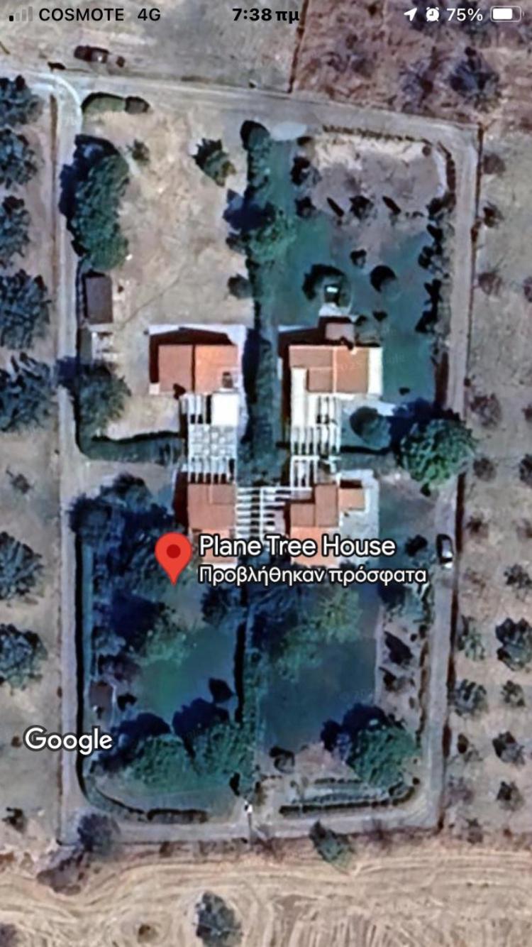 דירות מאקרי Plane Tree House מראה חיצוני תמונה