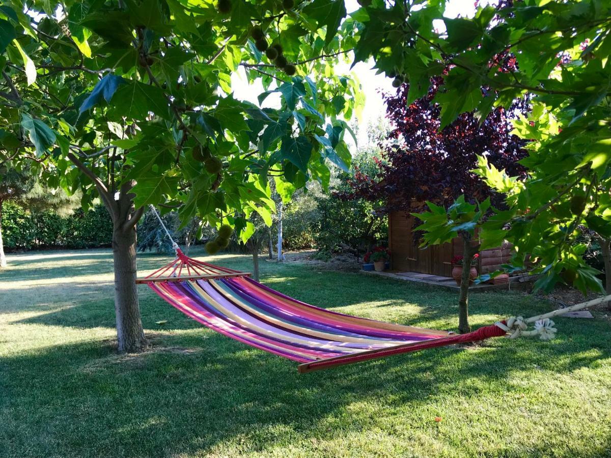 דירות מאקרי Plane Tree House מראה חיצוני תמונה